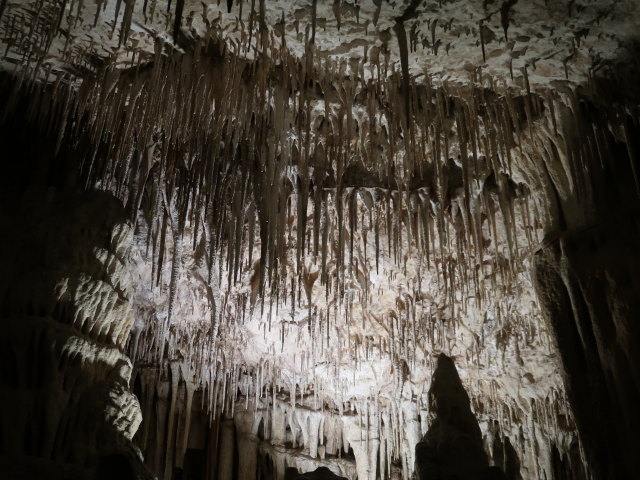Coves del Drac in Porto Cristo (17. Nov.)