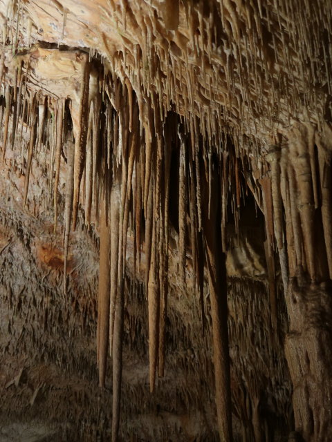Coves del Drac in Porto Cristo (17. Nov.)