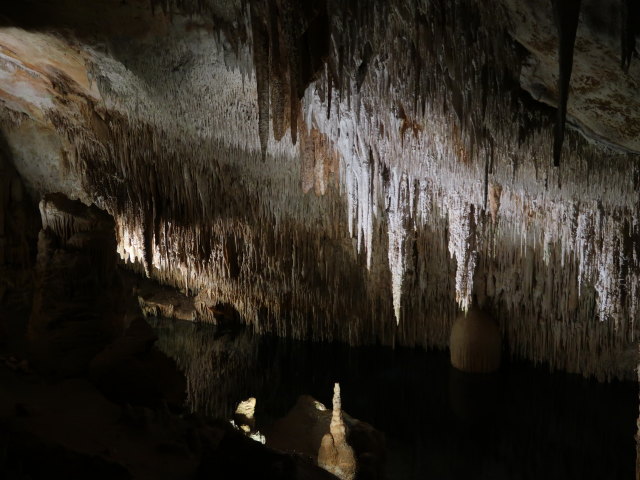 Coves del Drac in Porto Cristo (17. Nov.)