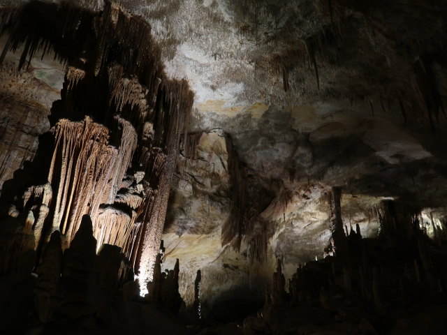 Coves del Drac in Porto Cristo (17. Nov.)