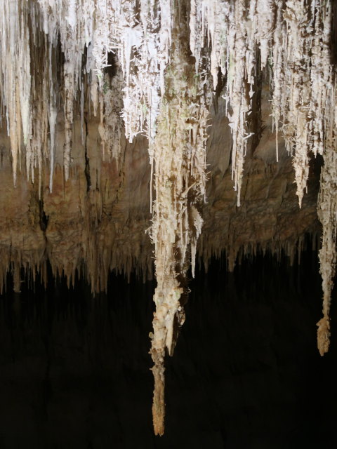 Coves del Drac in Porto Cristo (17. Nov.)