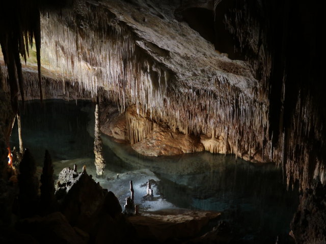Coves del Drac in Porto Cristo (17. Nov.)