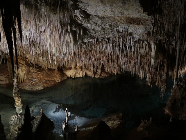 Coves del Drac in Porto Cristo (17. Nov.)