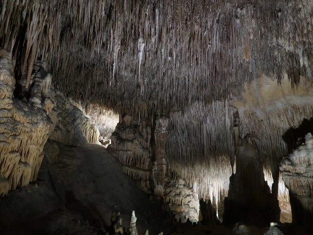 Coves del Drac in Porto Cristo (17. Nov.)