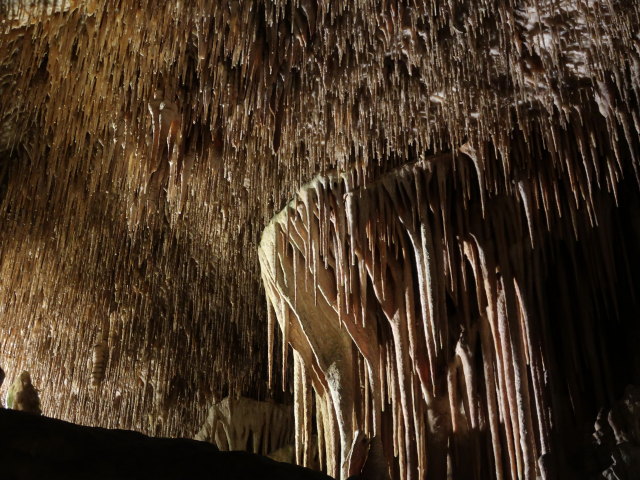 Coves del Drac in Porto Cristo (17. Nov.)