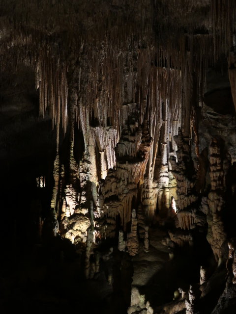 Coves del Drac in Porto Cristo (17. Nov.)