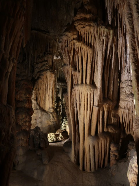 Coves del Drac in Porto Cristo (17. Nov.)