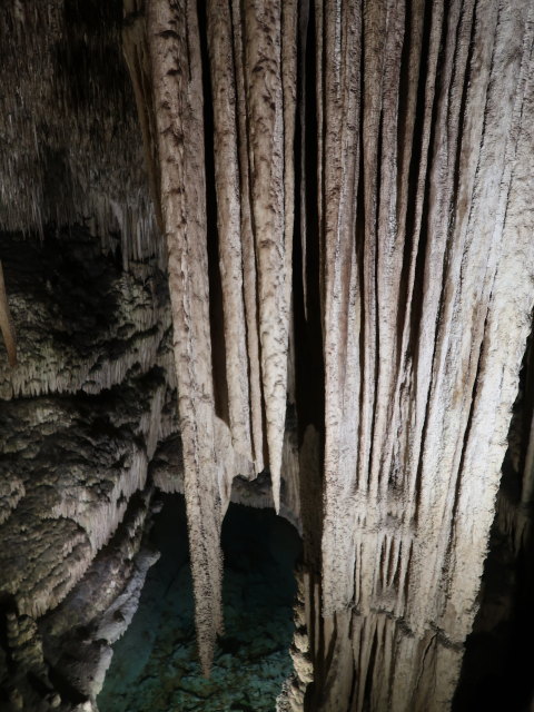 Coves del Drac in Porto Cristo (17. Nov.)