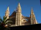 Catedral de Mallorca in Palma (12. Nov.)