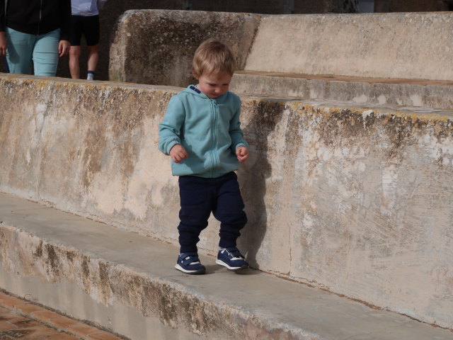 Nils im Santuari de Sant Salvador de Felanitx, 509 m (18. Nov.)