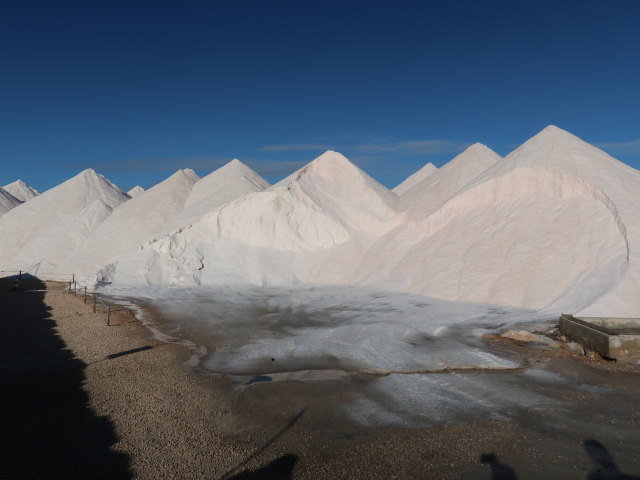 Salinas d'Es Trenc (19. Nov.)