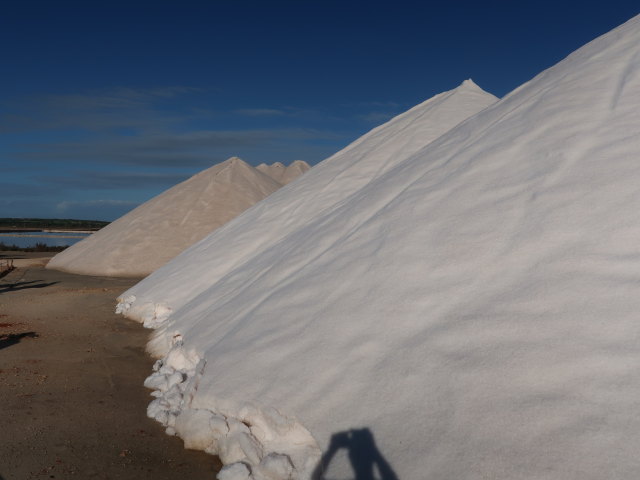 Salinas d'Es Trenc (19. Nov.)