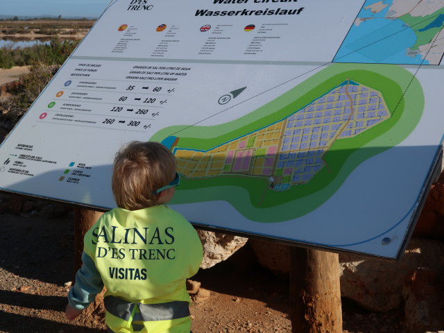 Nils in den Salinas d'Es Trenc (19. Nov.)