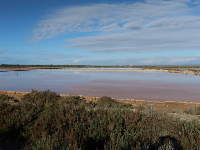 Salinas d'Es Trenc (19. Nov.)