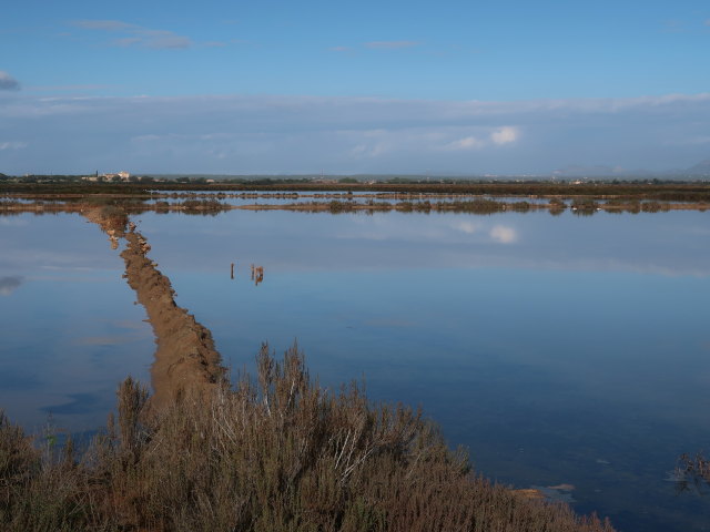 Salinas d'Es Trenc (19. Nov.)
