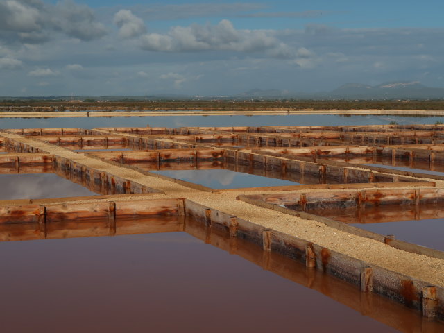 Salinas d'Es Trenc (19. Nov.)