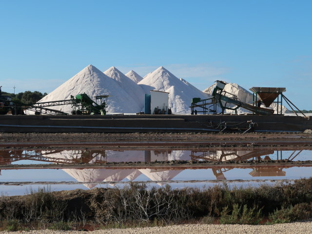 Salinas d'Es Trenc (19. Nov.)