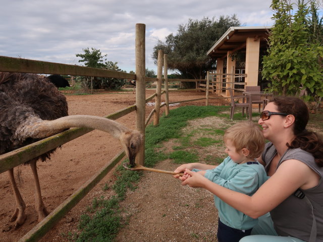 Nils und Sabine in Artestruz (19. Nov.)