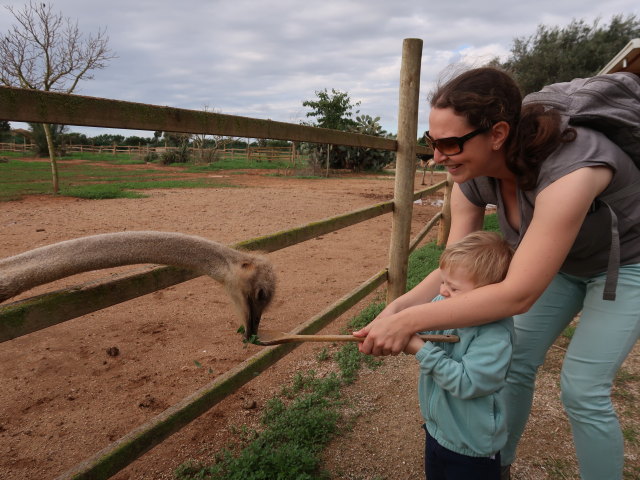 Nils und Sabine in Artestruz (19. Nov.)