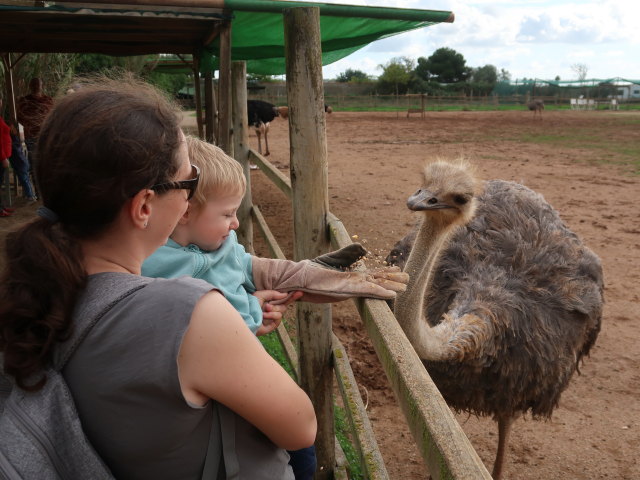 Sabine und Nils in Artestruz (19. Nov.)
