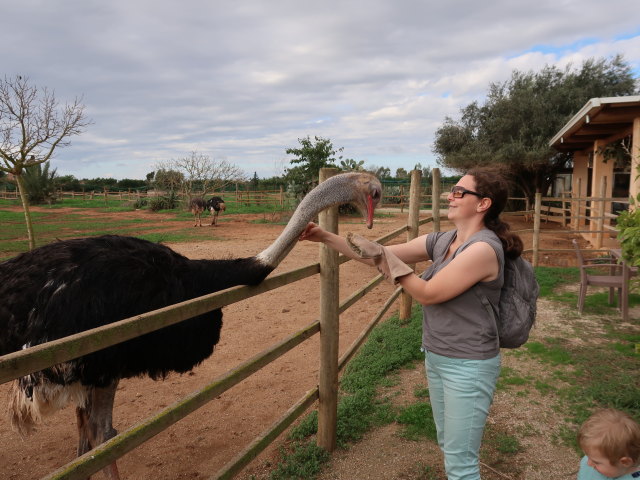 Sabine und Nils in Artestruz (19. Nov.)