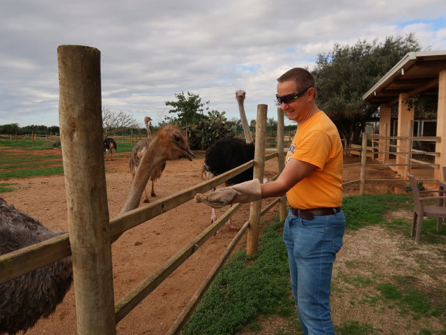 Ich in Artestruz (19. Nov.)