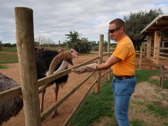 Ich in Artestruz (19. Nov.)