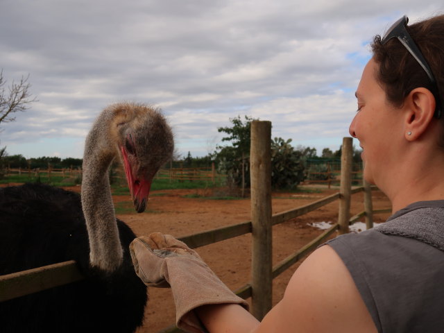 Sabine in Artestruz (19. Nov.)