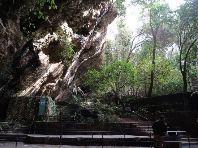 Coves dels Hams in Porto Cristo (21. Nov.)
