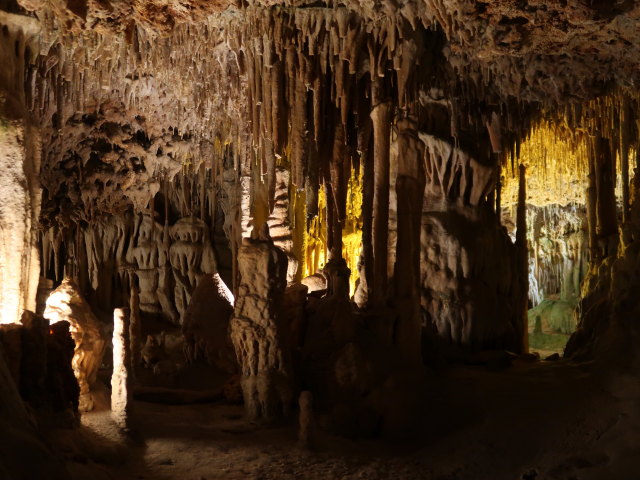 Coves dels Hams in Porto Cristo (21. Nov.)