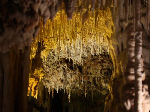 Coves dels Hams in Porto Cristo (21. Nov.)