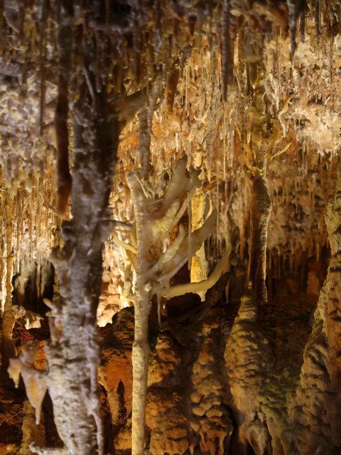Coves dels Hams in Porto Cristo (21. Nov.)