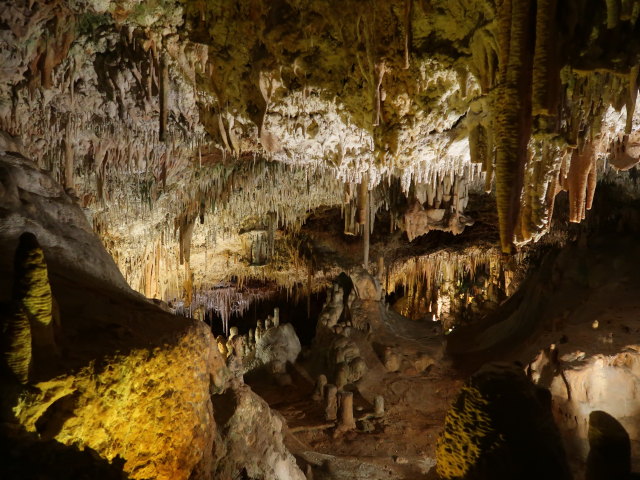 Coves dels Hams in Porto Cristo (21. Nov.)