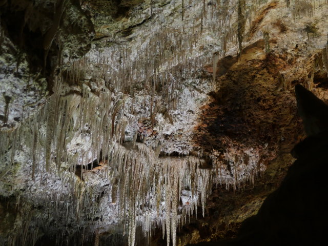 Coves dels Hams in Porto Cristo (21. Nov.)