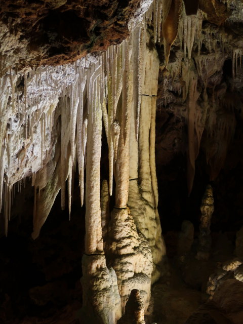 Coves dels Hams in Porto Cristo (21. Nov.)