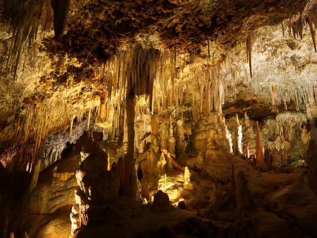 Coves dels Hams in Porto Cristo (21. Nov.)