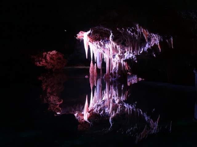 Coves dels Hams in Porto Cristo (21. Nov.)