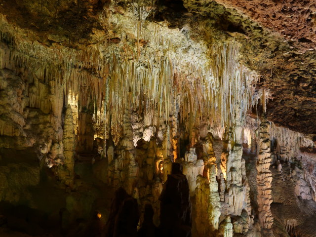 Coves dels Hams in Porto Cristo (21. Nov.)