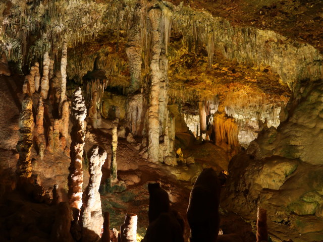 Coves dels Hams in Porto Cristo (21. Nov.)