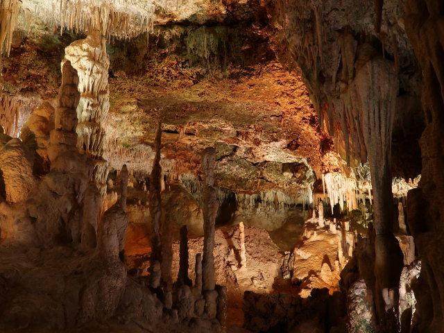 Coves dels Hams in Porto Cristo (21. Nov.)