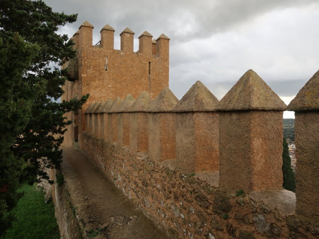 Almudaina d'Art&agrave; (21. Nov.)