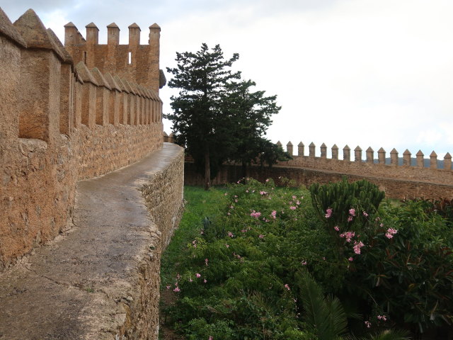 Almudaina d'Art&agrave; (21. Nov.)