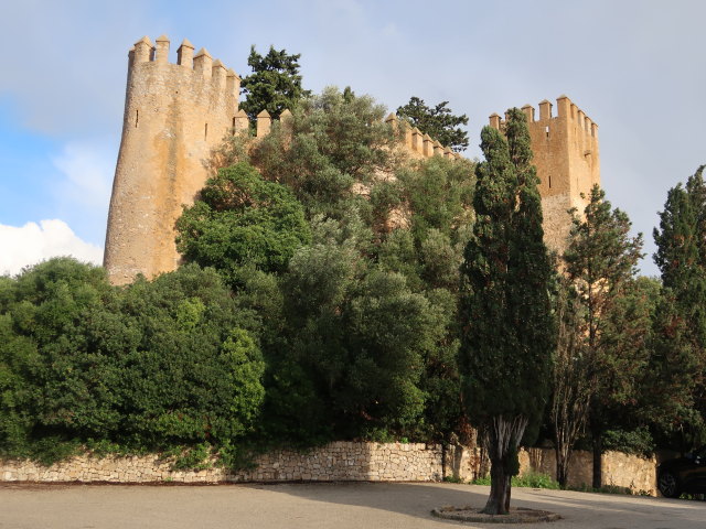 Almudaina d'Art&agrave; (21. Nov.)