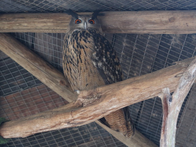 Reserva Park Puig de Galatz&oacute; (22. Nov.)