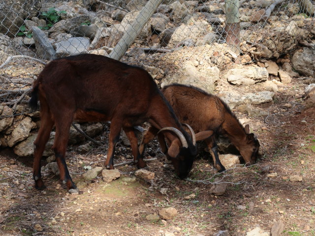 Reserva Park Puig de Galatz&oacute; (22. Nov.)
