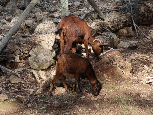 Reserva Park Puig de Galatz&oacute; (22. Nov.)