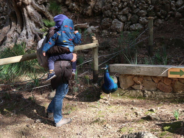Sabine und Nils im Reserva Park Puig de Galatz&oacute; (22. Nov.)