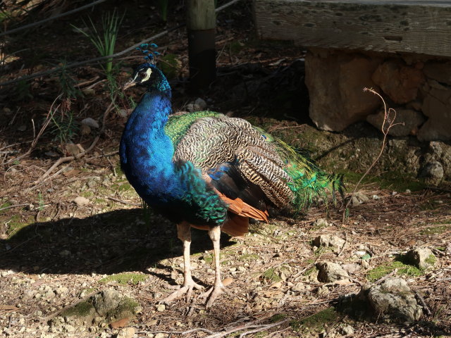 Reserva Park Puig de Galatz&oacute; (22. Nov.)