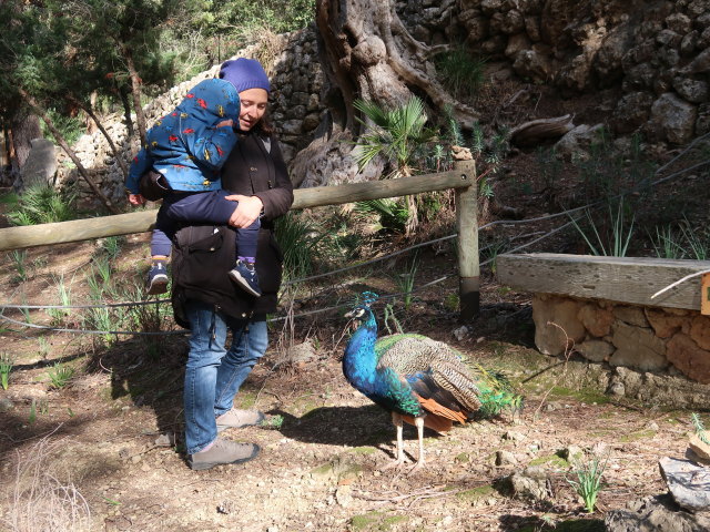 Nils und Sabine im Reserva Park Puig de Galatz&oacute; (22. Nov.)