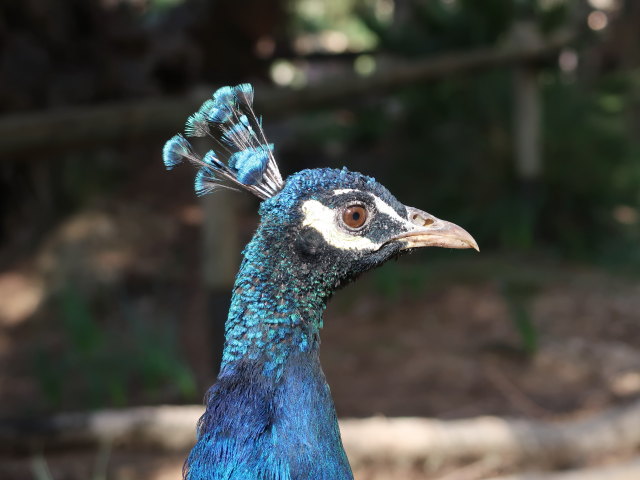 Reserva Park Puig de Galatz&oacute; (22. Nov.)